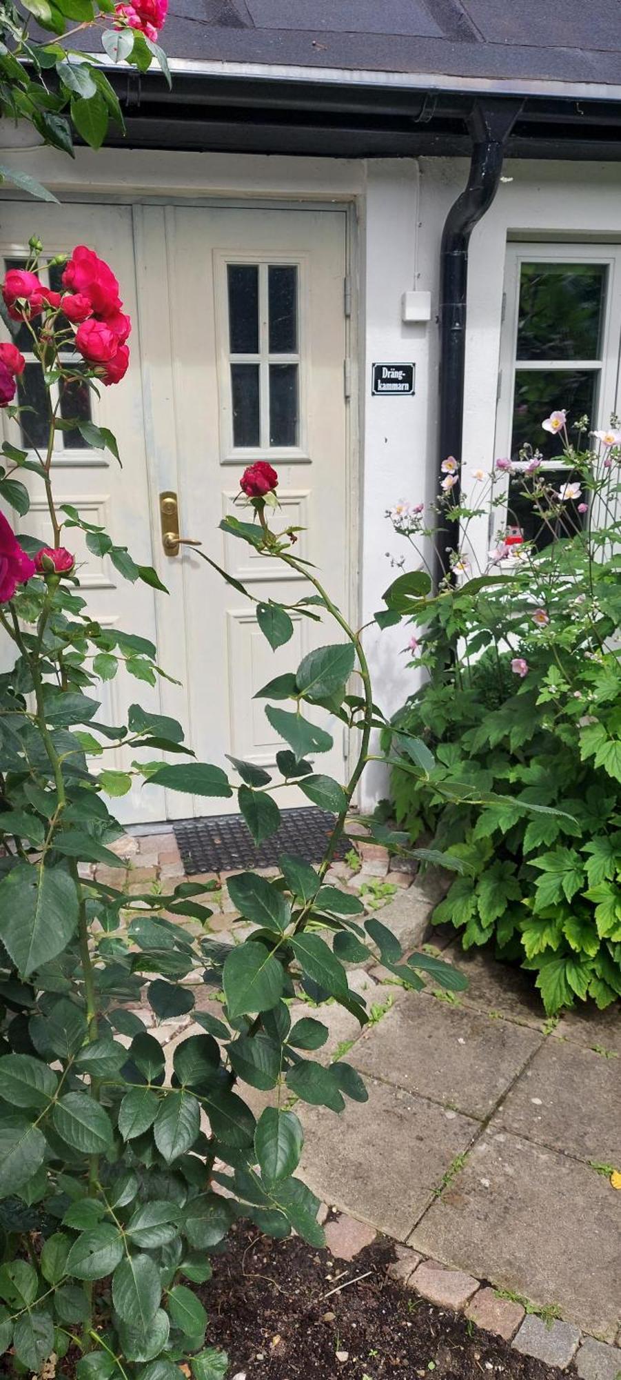 Bjerred B&B Bjärred Kültér fotó