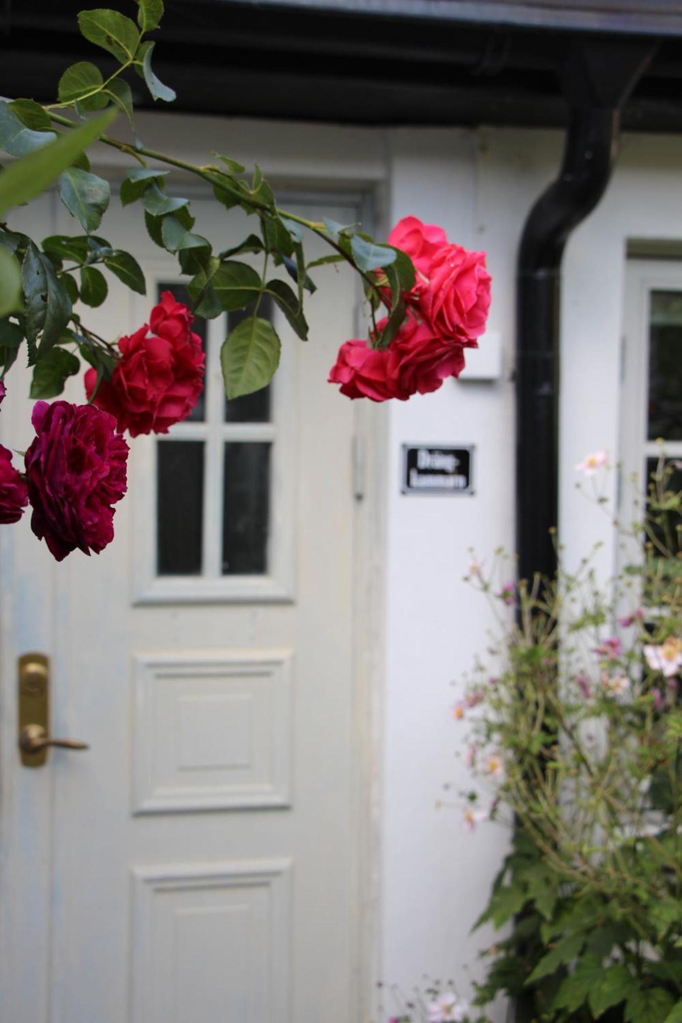 Bjerred B&B Bjärred Kültér fotó