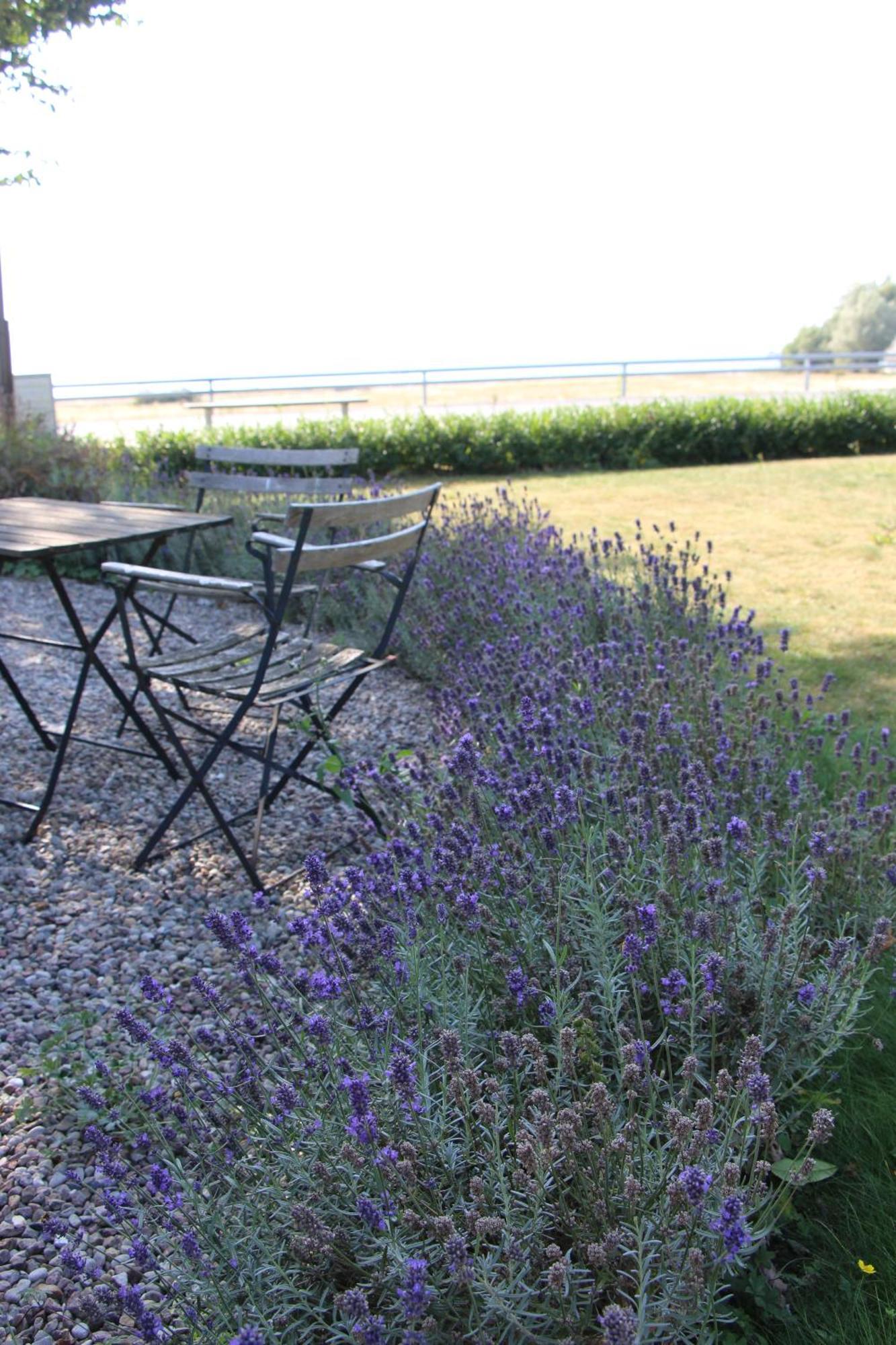 Bjerred B&B Bjärred Kültér fotó