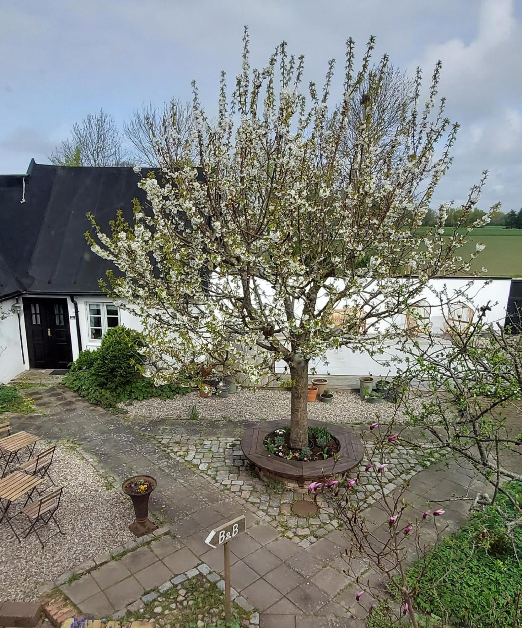 Bjerred B&B Bjärred Kültér fotó